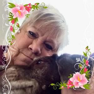 Meet your Posher, Frances